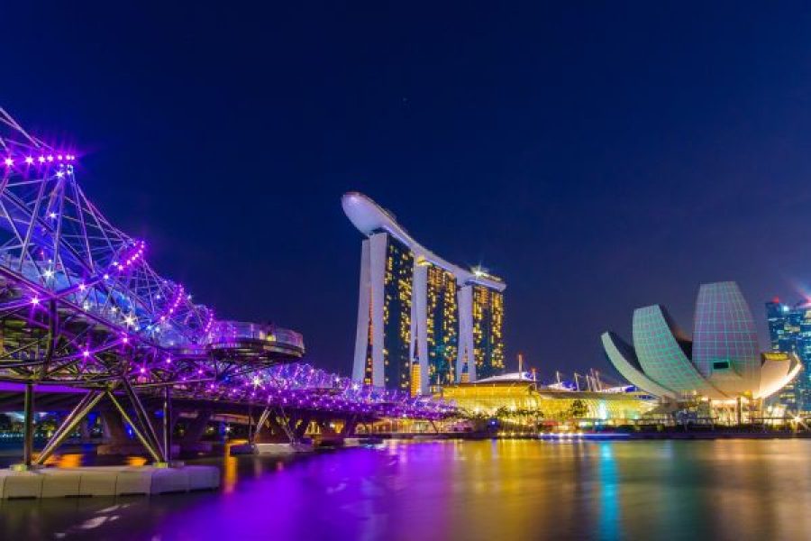 Singapore Delight