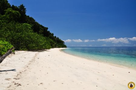 Andaman Delight