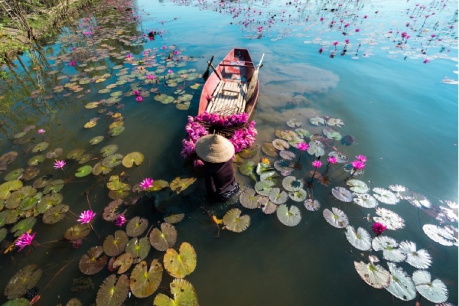 Vietnam Explorer